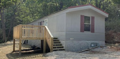 310 Whitaker Hollow Rd, Rocky Top