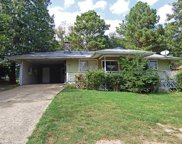 57 Allegheny, Cherokee Village image