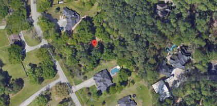 24118 Lenze Road, Spring