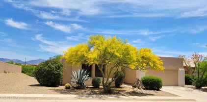 13194 N Pier Mountain, Marana