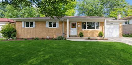 126 S Dwyer Avenue, Arlington Heights