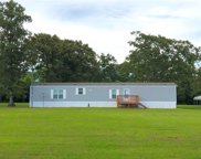 11747 E Small Oak, Willis image