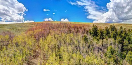 00 Jicarilla Trail, Hartsel