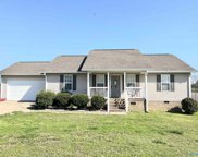 1588 Mount Vernon Road, Boaz image