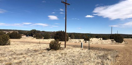 lot 113 Navajo Ranch Estates, Walsenburg