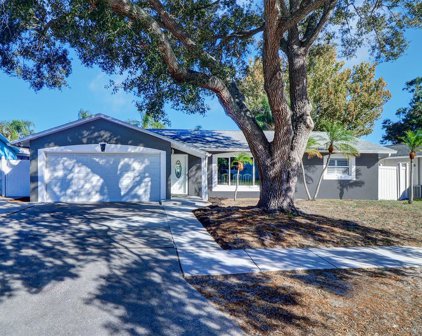 8707 124th Way, Seminole
