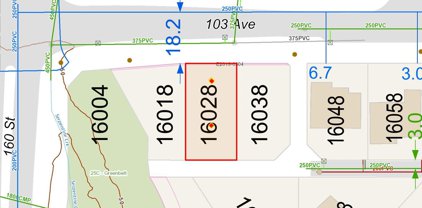 16028 103 Avenue, Surrey