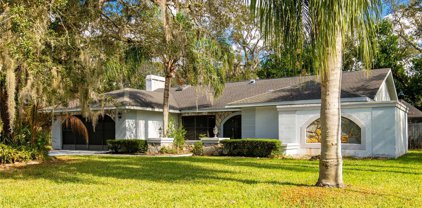 218 Leafy Way Avenue, Spring Hill