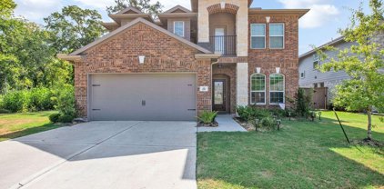 217 Timber Grove Court, Clute
