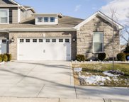 14421 Stunner Pass Drive, Fishers image