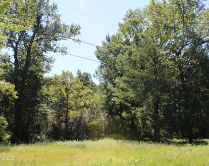 191 Brown Hills Road, Byhalia
