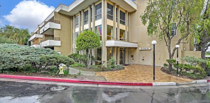 10 Scenic WAY 317, San Mateo