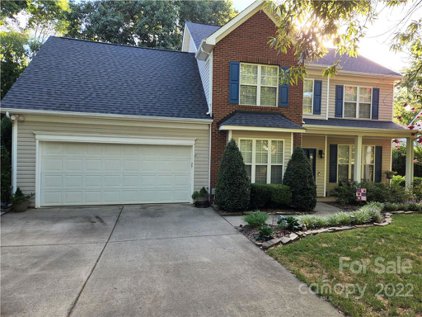 223 Horn Tassel  Court, Wesley Chapel