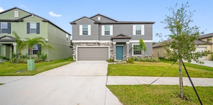 9834 Branching Ship Trace, Wesley Chapel