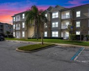 2305 Butterfly Palm Way Unit 202, Kissimmee image