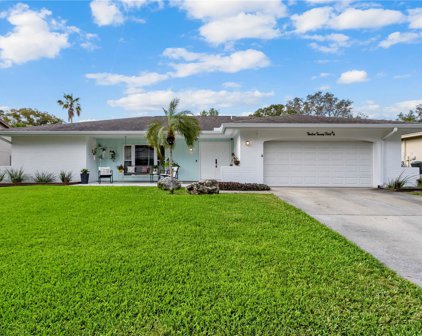 1225 Royal Oak Drive, Dunedin