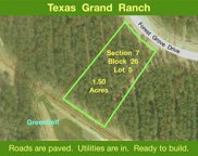 15309 Forest Grove Drive, Willis image