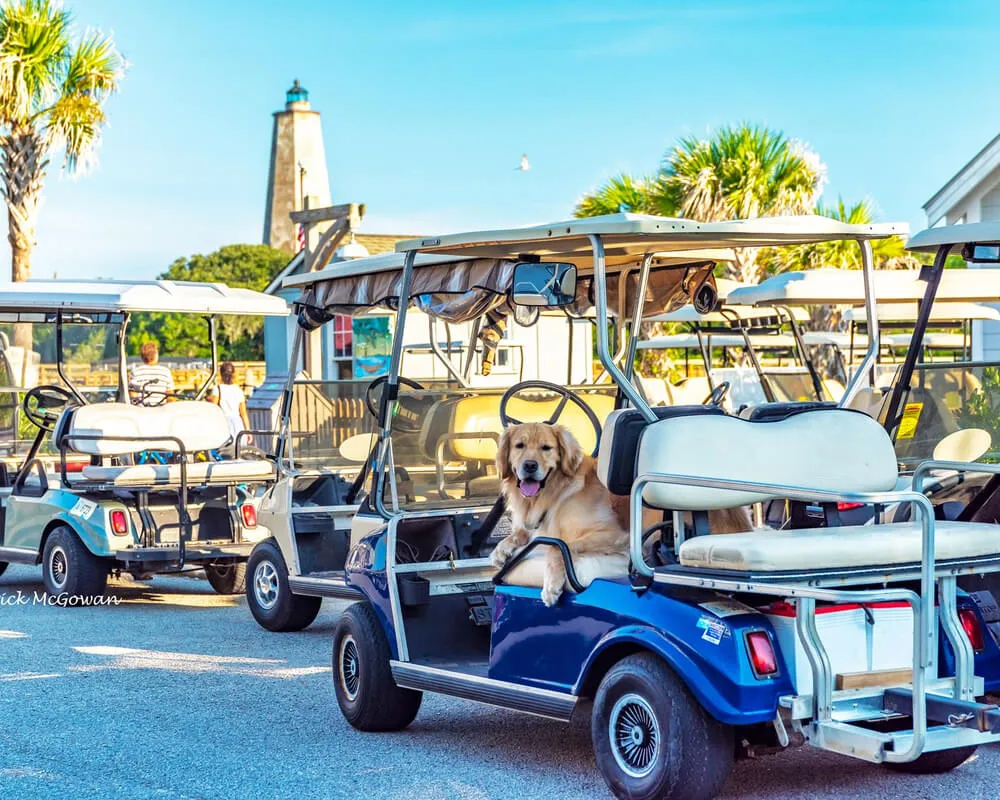 Explore Bald Head Island Pet Friendly Vacation Rentals