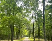 7105 Mount Zion Road, New Waverly image