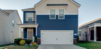 339 Victory Cir, Ashland City