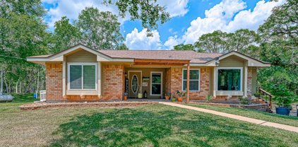 20503 Forest Road, Damon
