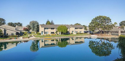 864 Andromeda Ln, Foster City
