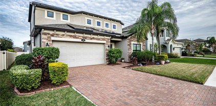 1132 Lorapetalum Lane, Lutz
