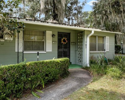 703 Ne 6th Place, Gainesville