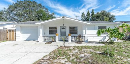 3137 Merita Drive, Holiday