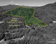 999 Dills Cove  Road, Sylva image