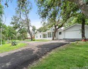 318 Blackjack Oak Rd, Seguin image