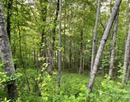 56 Scenic View  Drive, Hendersonville image