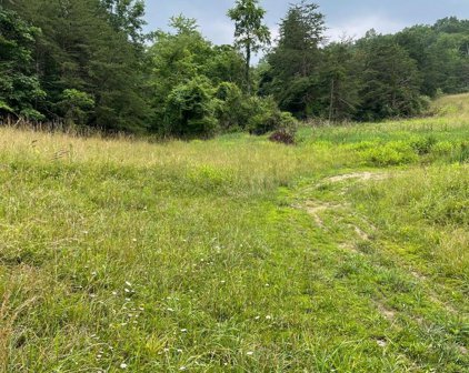 Theodore Hawvermale Rd, Berkeley Springs