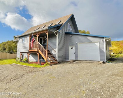 4267 Shirley Court, Homer