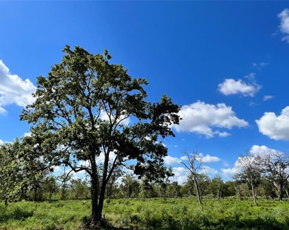 Lot 2 County Road 506, Brazoria