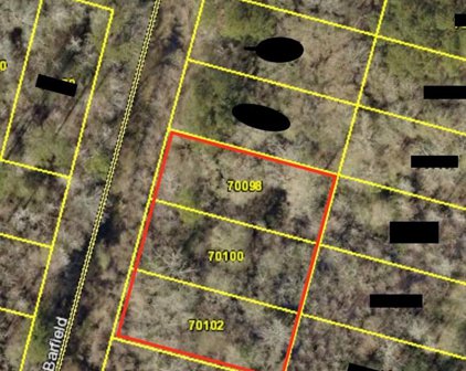TBD Barfield Drive, Shepherd