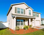 10116 Carp Hollow Road, Sun City Center image
