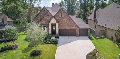 107 Evening Tide Court, Willis