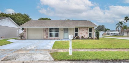 7818 Avenal Loop, New Port Richey