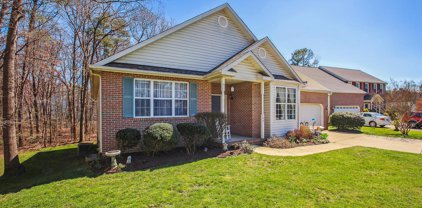 1401 Ivy Leaf Ct, Severn
