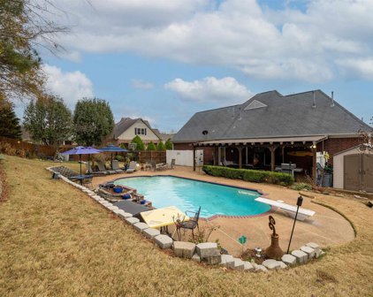 8480 Wolf Trace Ln, Bartlett