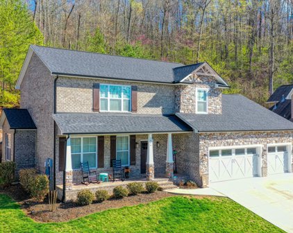 1446 Branch Field Lane, Knoxville