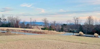 Lot 25 Royal Tern  St, Wirtz