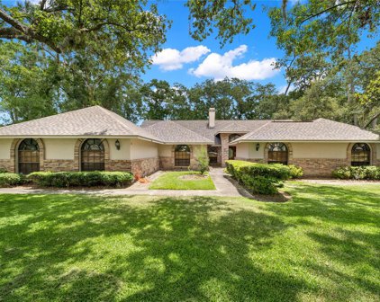 17517 Mallard Court, Lutz