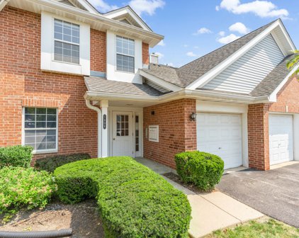 1408 W Crane Street Unit #6, Arlington Heights