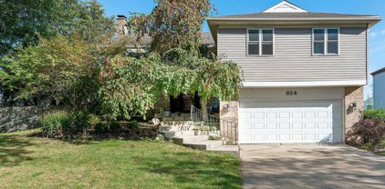 824 W Appletree Lane, Bartlett