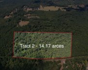Newton  (14 Acres) - Tract 2  Road, Dry Prong image