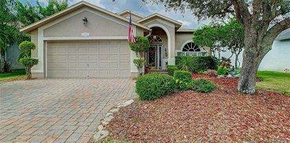 12825 Royal George Avenue, Odessa