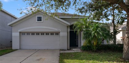 10220 Cypress Trail Drive, Orlando