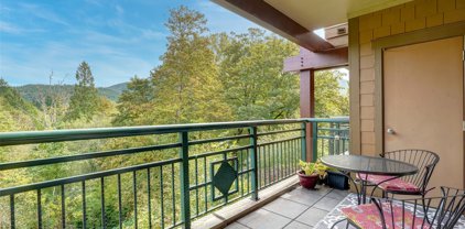 1000 Cabin Creek Lane SW Unit #C-105, Issaquah